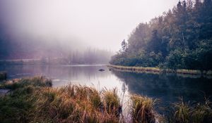 Preview wallpaper river, trees, forest, nature, landscape, grass