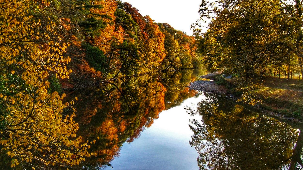 Wallpaper river, trees, forest, reflection, autumn, landscape, nature