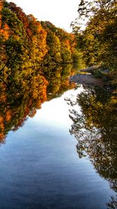 Preview wallpaper river, trees, forest, reflection, autumn, landscape, nature