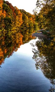 Preview wallpaper river, trees, forest, reflection, autumn, landscape, nature