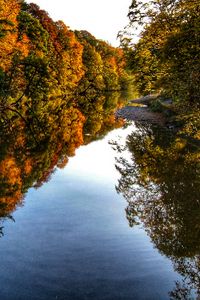 Preview wallpaper river, trees, forest, reflection, autumn, landscape, nature