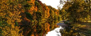 Preview wallpaper river, trees, forest, reflection, autumn, landscape, nature