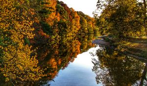 Preview wallpaper river, trees, forest, reflection, autumn, landscape, nature