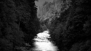 Preview wallpaper river, trees, forest, black and white