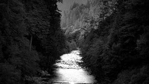 Preview wallpaper river, trees, forest, black and white