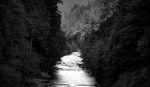 Preview wallpaper river, trees, forest, black and white