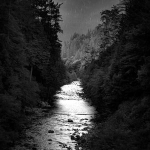 Preview wallpaper river, trees, forest, black and white