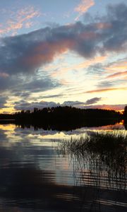 Preview wallpaper river, trees, forest, reflection, dark, sky