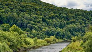 Preview wallpaper river, trees, forest, bushes, water