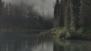 Preview wallpaper river, trees, forest, darkness, fog