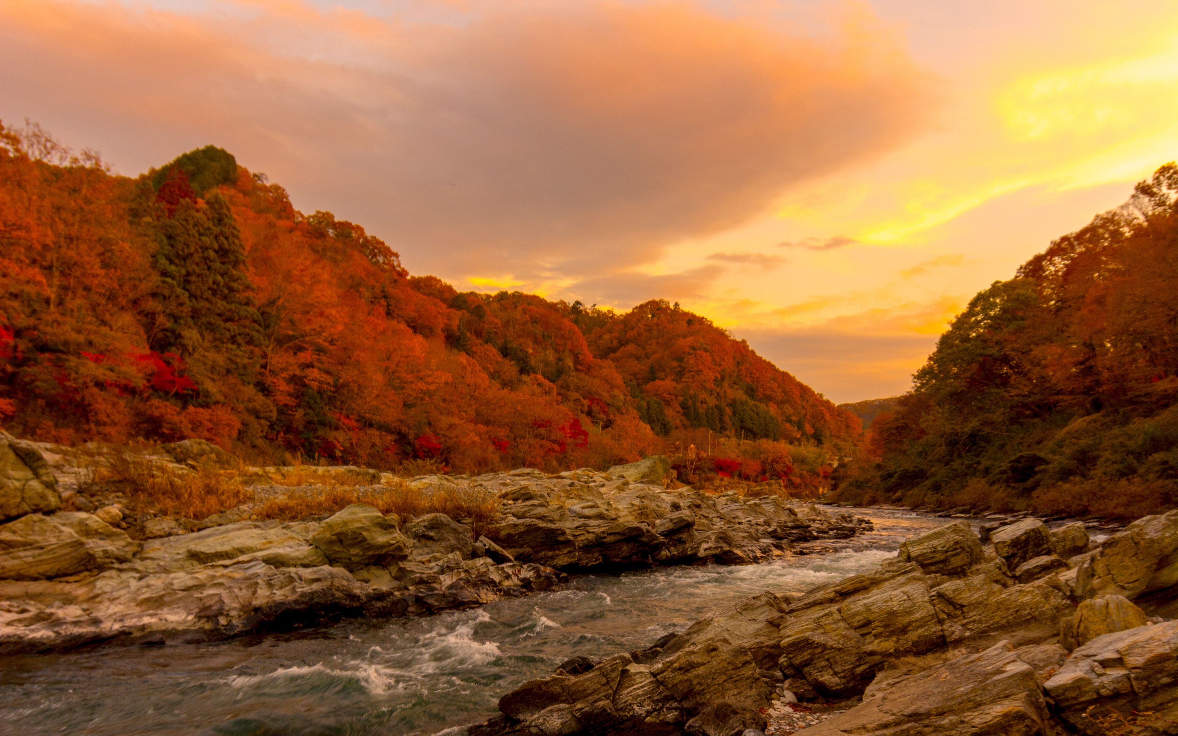 Download Wallpaper 3840x2400 River Trees Forest Sunset Nature 4k 