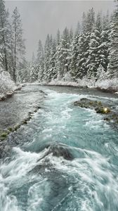 Preview wallpaper river, trees, forest, snow, winter