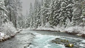 Preview wallpaper river, trees, forest, snow, winter