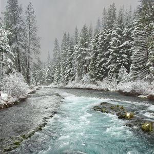 Preview wallpaper river, trees, forest, snow, winter
