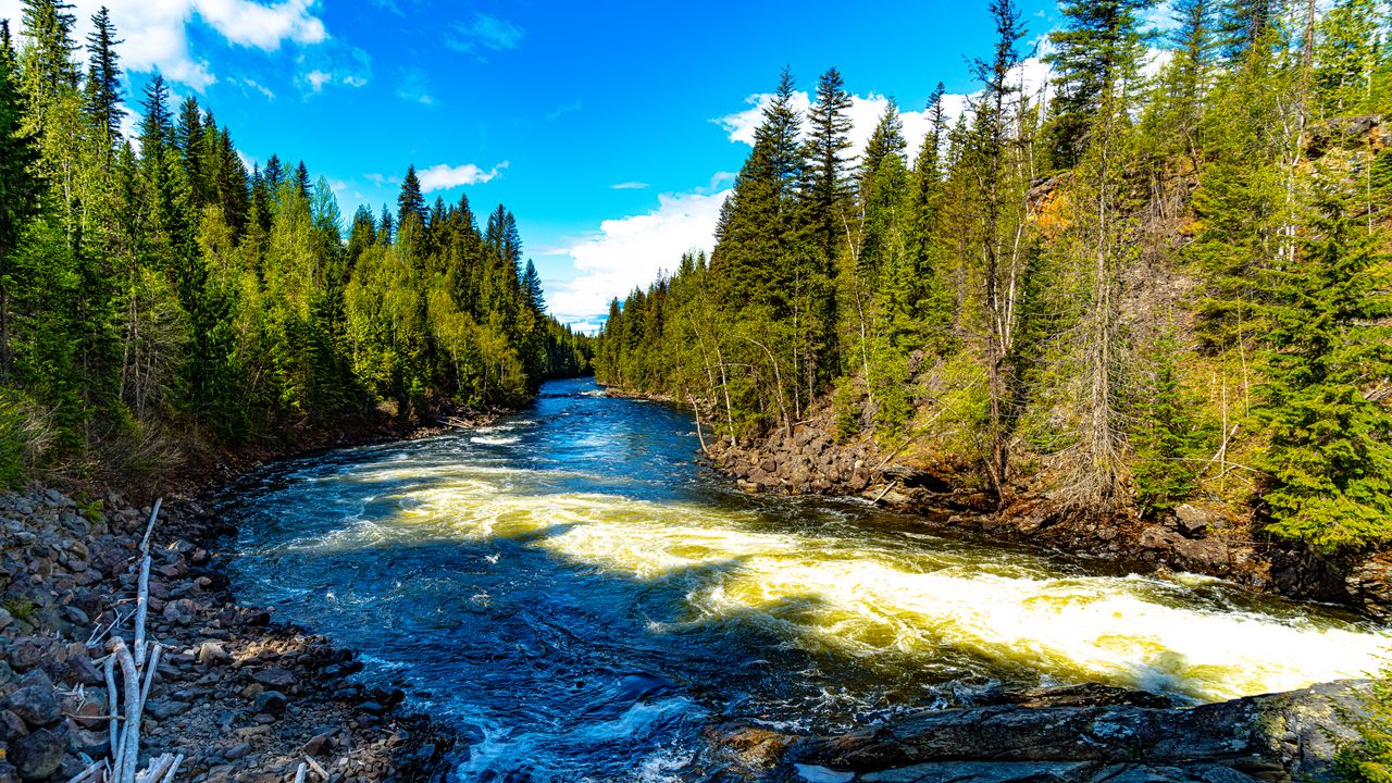 Wallpaper river, trees, forest, landscape