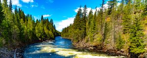 Preview wallpaper river, trees, forest, landscape