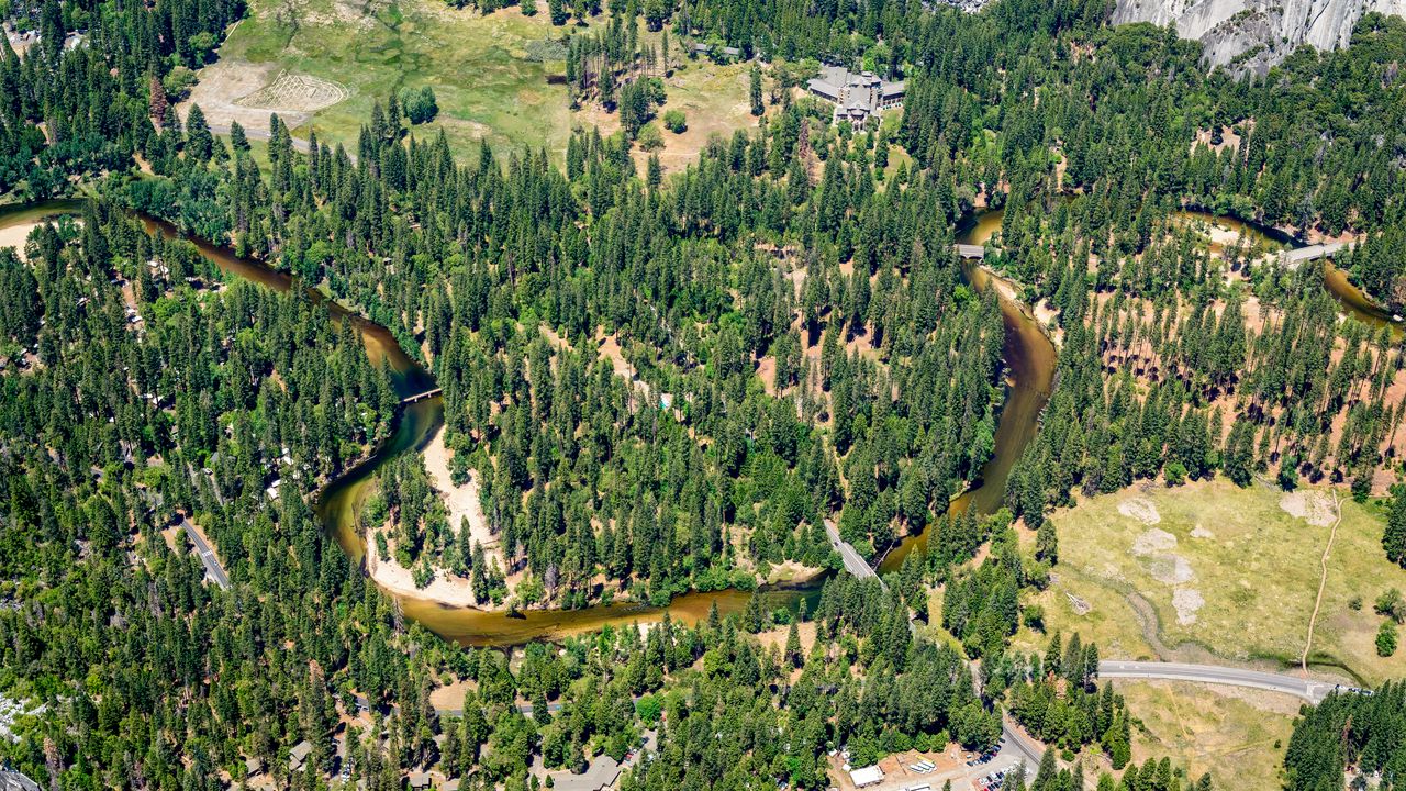Wallpaper river, trees, glade, aerial view
