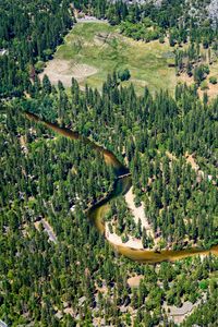 Preview wallpaper river, trees, glade, aerial view