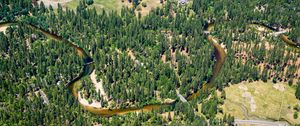 Preview wallpaper river, trees, glade, aerial view