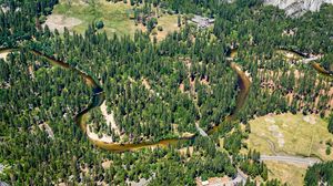 Preview wallpaper river, trees, glade, aerial view