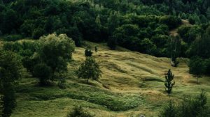 Preview wallpaper river, trees, grass, bushes, stones