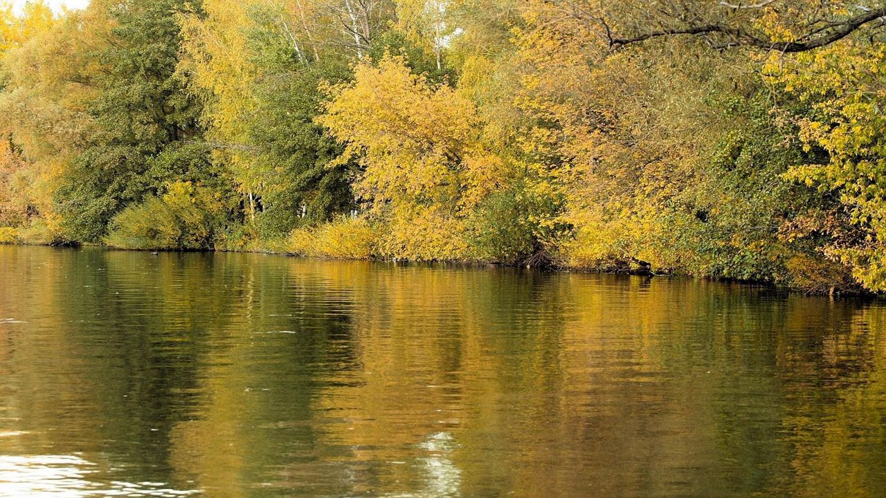 Wallpaper river, trees, grass, autumn, reflection