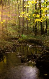 Preview wallpaper river, trees, grass, summer, light