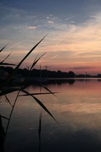 Preview wallpaper river, trees, grass, evening, nature
