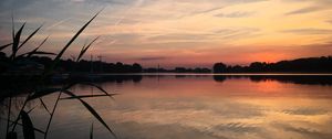 Preview wallpaper river, trees, grass, evening, nature