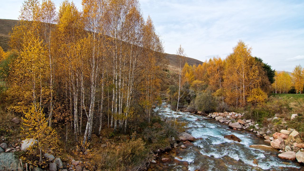 Wallpaper river, trees, hill, nature, landscape