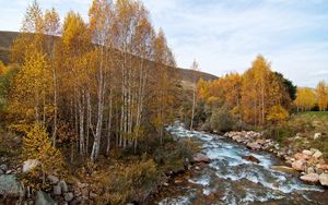 Preview wallpaper river, trees, hill, nature, landscape