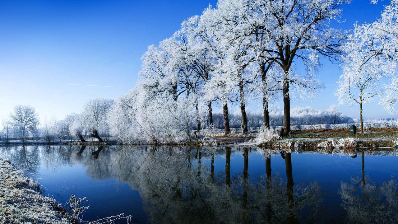 Wallpaper river, trees, hoarfrost, winter, reflection