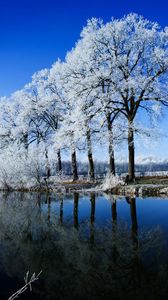 Preview wallpaper river, trees, hoarfrost, winter, reflection