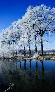 Preview wallpaper river, trees, hoarfrost, winter, reflection