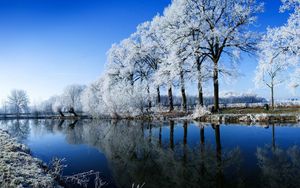 Preview wallpaper river, trees, hoarfrost, winter, reflection