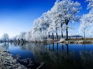 Preview wallpaper river, trees, hoarfrost, winter, reflection