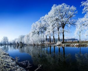 Preview wallpaper river, trees, hoarfrost, winter, reflection