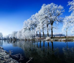 Preview wallpaper river, trees, hoarfrost, winter, reflection