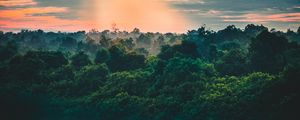 Preview wallpaper river, trees, horizon, sky