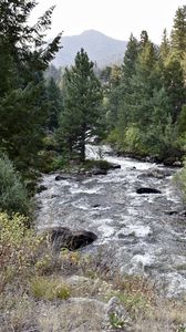 Preview wallpaper river, trees, landscape, nature