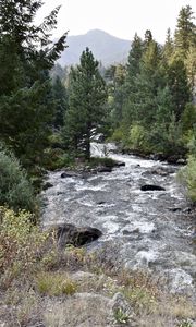 Preview wallpaper river, trees, landscape, nature