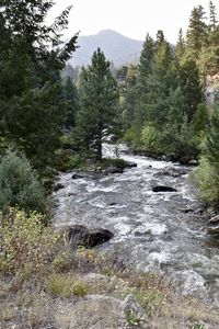 Preview wallpaper river, trees, landscape, nature
