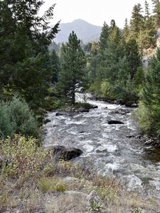 Preview wallpaper river, trees, landscape, nature