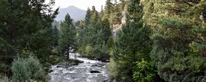 Preview wallpaper river, trees, landscape, nature