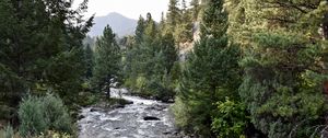 Preview wallpaper river, trees, landscape, nature