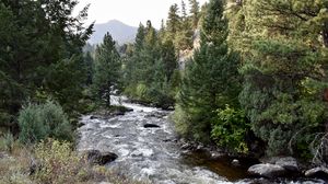 Preview wallpaper river, trees, landscape, nature