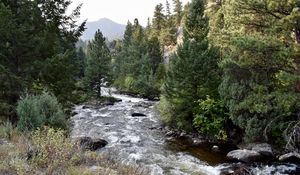 Preview wallpaper river, trees, landscape, nature