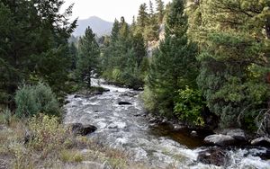 Preview wallpaper river, trees, landscape, nature