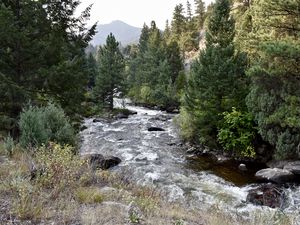 Preview wallpaper river, trees, landscape, nature