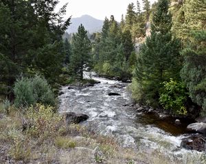 Preview wallpaper river, trees, landscape, nature
